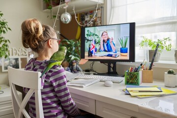 Pre-adolescent student girl at home with parrot pet, studying, watching video lesson on computer