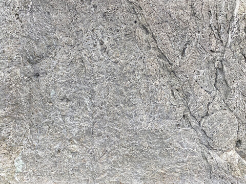 close up view of coral rock beach stone surface