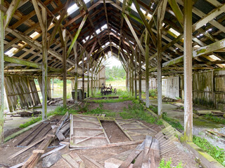 interior of a torn down farm barn building structure with discarded wood beams and siding with moss and ground cover