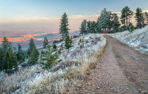 sunset view of plains, foothills and lake in northern Colorado, a view from  Towers Trail in Horsetooth Mountain Park with pine trees covered by frost