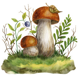 Watercolor illustration, wild mushrooms and blueberries.  © Галина Смирнова