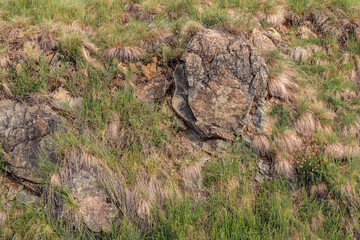 Fototapeta na wymiar Rock and grass as natural background