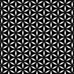 Vector white flowers on black background