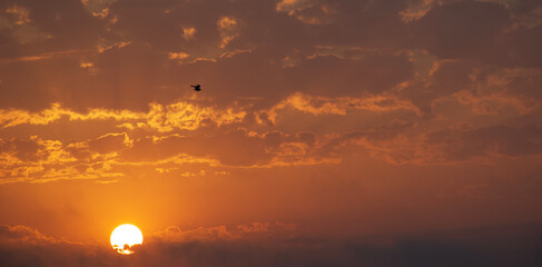 Fototapeta premium sunset over the lake