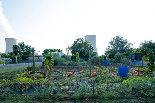 jardin potager devant la Centrale nucl&eacute;aire de Golfech dans le Tarn et Garonne