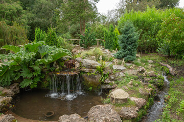 Fairy waterfalls at Bicton botanical gardens Devon UK