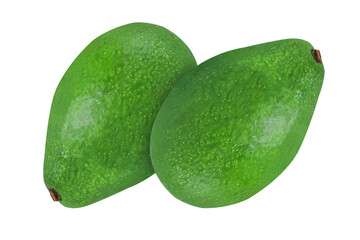 Avocado on an isolated white background. Two avocados
