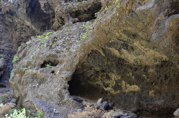 BARRANCO, ISLA DE TENERIFE