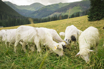 Tatry © grzegorzszefer