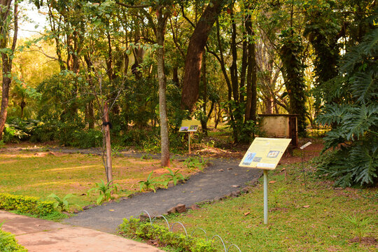 Closeup view of an informational board at the park near the pavement on a sunny day