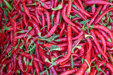 fresh organic Skinny Peppers on display at a farmers market