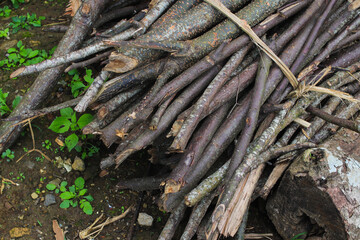 a stack of dry wood from the garden usually used as firewood in Javanese traditional kitchens.
