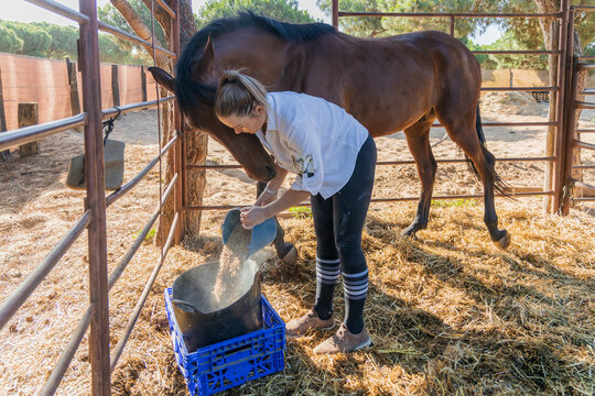 Woman feeding horses on ranch