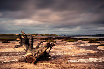 Barren and empty landscape with looming clouds in dramatic sky