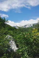 Fototapeta na wymiar Mountain Range in the Summer in Croatia