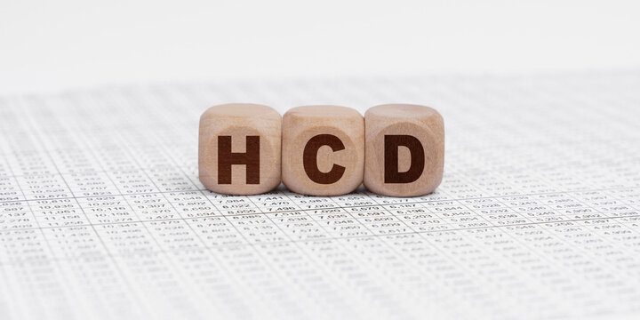 There are cubes on the reporting documents with the inscription - HCD