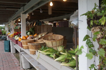 Outdoor Produce Market with Baskets Corn Onions Red pepper and other Vegetables in Daylight