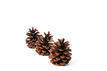 Pine cones on a white isolated background. Attributes of Christmas and New Year.