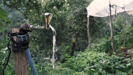 water sprinkler on a grass