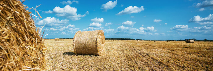 Wheat straw bales on agricultural field at autumn season.