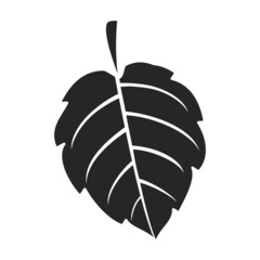 Mint leaf black vector icon.Black vector illustration fresh peppermint. Isolated illustration of mint leaf icon on white background.