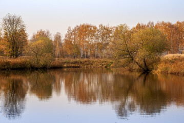 Fototapeta na wymiar Autumn landscape. Golden trees on the shore of the lake.