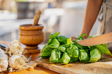 Green fresh organic basil on wooden background with copyspace