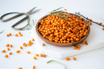 sea buckthorn and scissors on the table