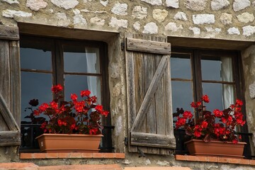 Fototapeta na wymiar Beautiful flower pots at window