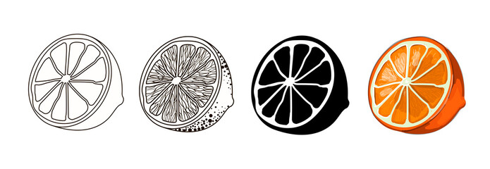 Set of four halves of an orange - outline style, doodle, cartoon and black silhouette of an orange. Stock vector illustration isolated on a white background.