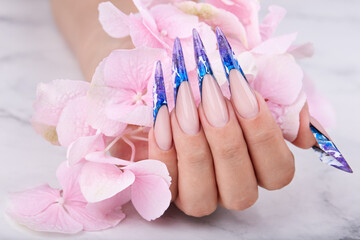 Hand with long artificial blue french manicured nails and pink Hortensia flower