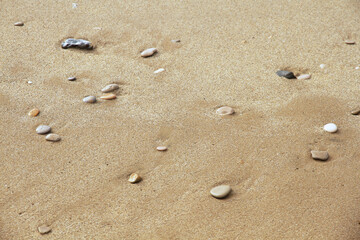 Fototapeta na wymiar Detail of wet sand on beach with some stone