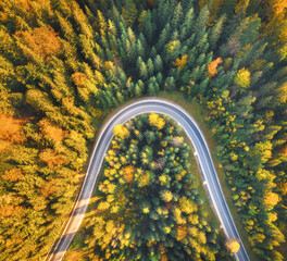Aerial view of mountain road in beautiful forest at sunset in autumn. Top view from drone of winding road in woods. Colorful landscape with curved roadway, trees with orange leaves in fall. Travel