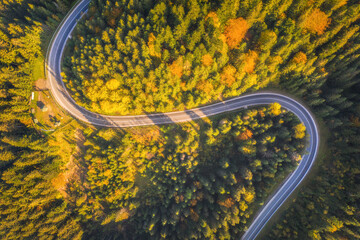 Aerial view of mountain road in beautiful forest at sunset in autumn. Top view from drone of winding road in woods. Colorful landscape with curved roadway, trees with orange leaves in fall. Travel