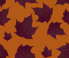 seamless pattern with autumn leaves