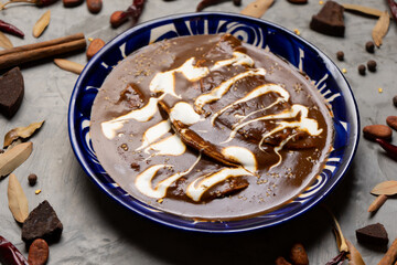 Mexican food. Enchiladas with mole sauce also called Enmoladas on grey background