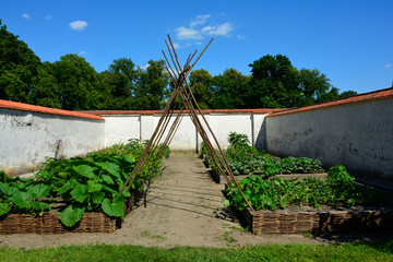 ogród warzywny, warzywnik, vegetable garden © kateej