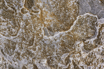Warm color rock texture background
