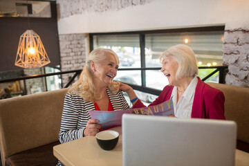 Two blonde elderly ladies sitting at the laptop and looking involved