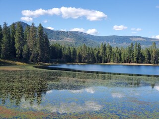 Fototapeta premium Muskrat Lake, Idaho