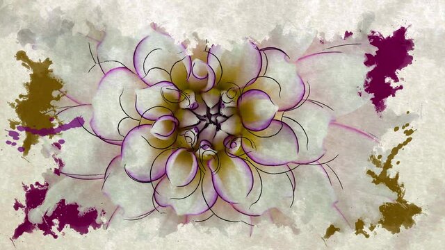White blooming flower closeup with watercolor reveal effect