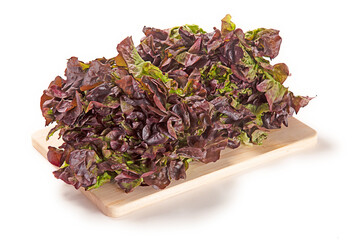 lechuga morada sobre tabla de madera. aislada fondo blanco