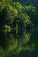 Fototapeta na wymiar 高原の湖畔と新緑のリフレクション