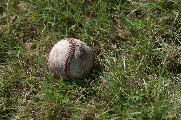 baseball in grass