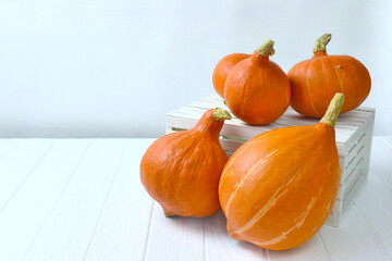 Orange pumpkins on white background.
