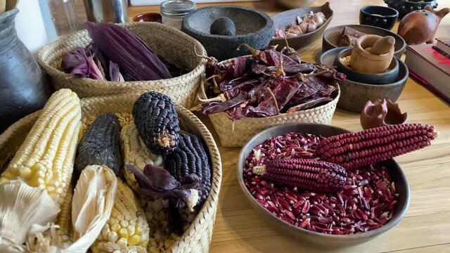 Mexican Creole Corn varieties are seen in Mexico City, Mexico.