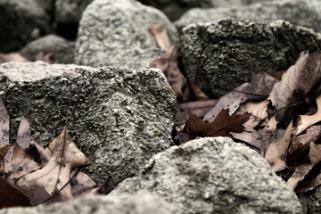 close up of a rock
