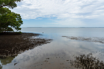 View across Moreton Bay from Wynnum Wetlands with clouds reflected in the tranquil waters 