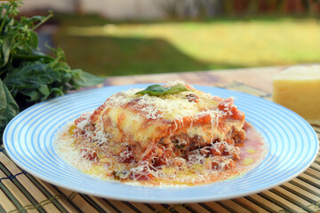 lasagna white and bolognese sauce with parmesan cheese, pasta, tomato, basil, herbs, delicious food from Italian and French cuisine