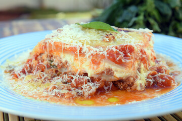 lasagna white and bolognese sauce with parmesan cheese, pasta, tomato, basil, herbs, delicious food from Italian and French cuisine